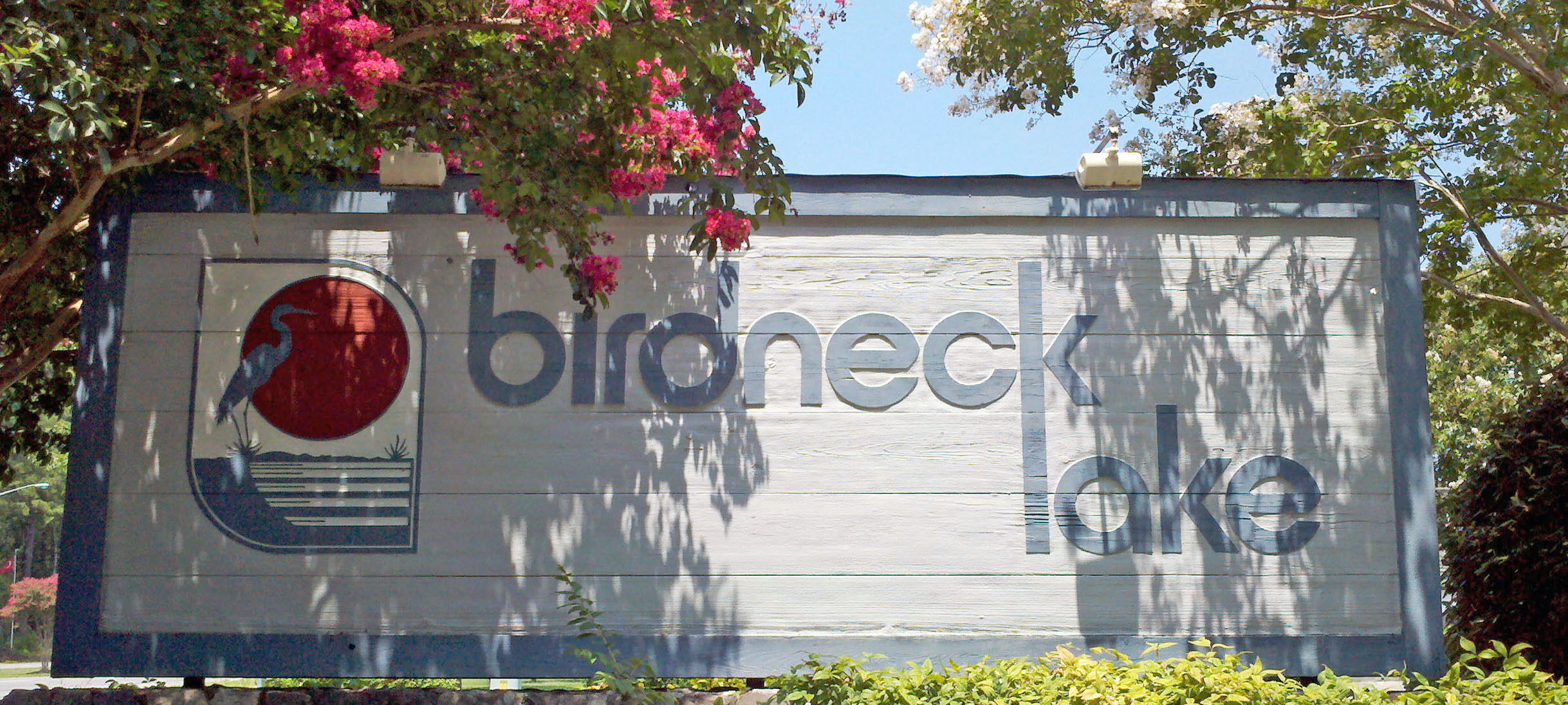 Houses For Sale In Birdneck Lake at Lucille Lockett blog